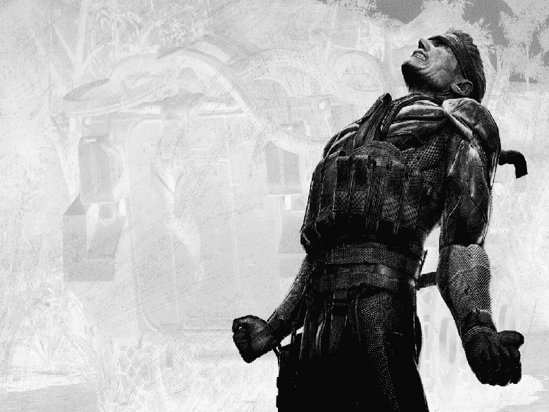 试管不能侧躺，试管养多久蚂蚁